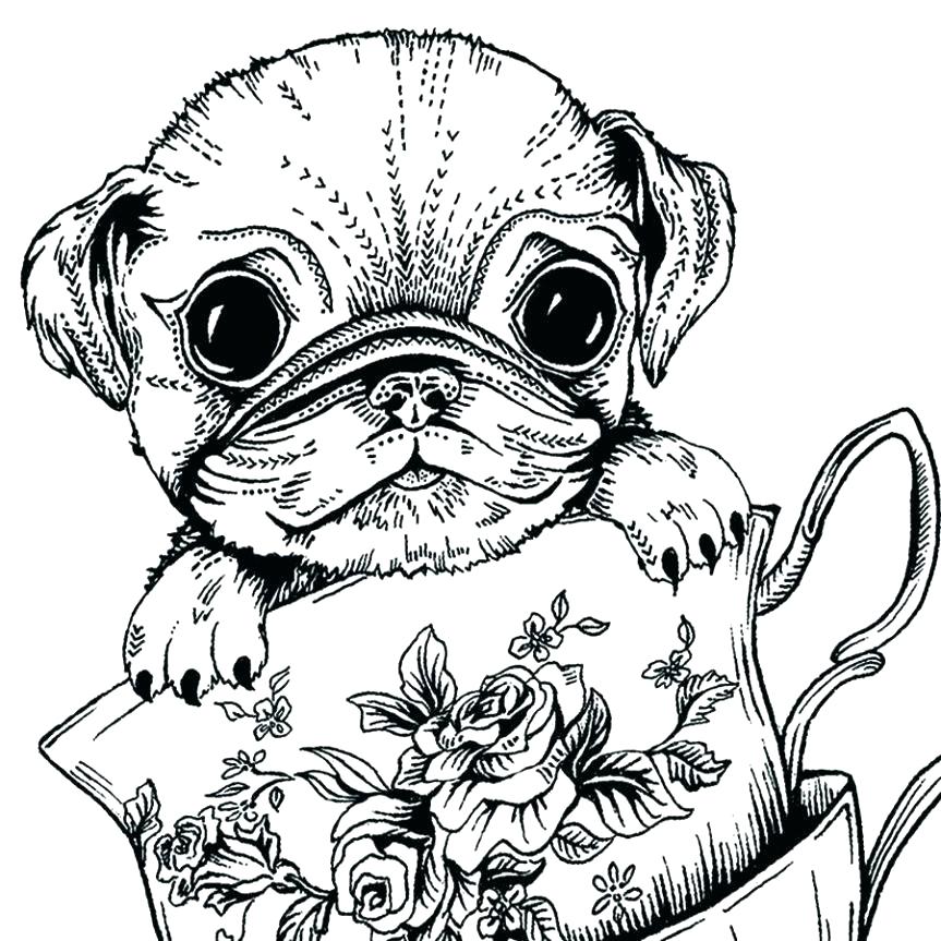 pug-coloring-pages-best-coloring-pages-for-kids