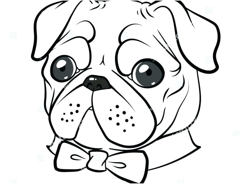 Simple Pug Coloring Pages for Adult
