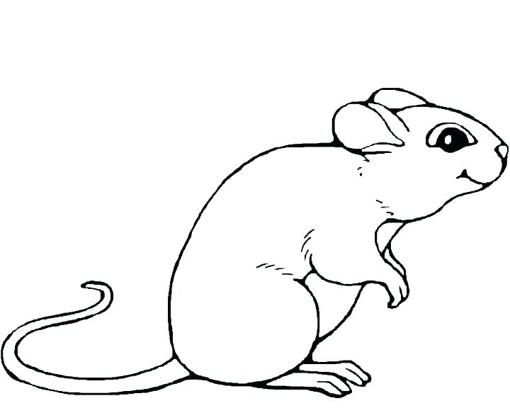 Cute Rat Coloring Pages at GetColorings.com | Free ...