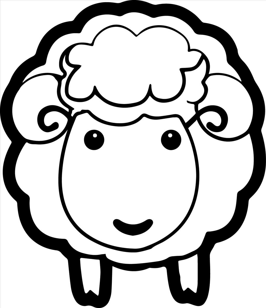 Cute Sheep Coloring Page at Free printable colorings
