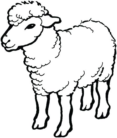 Cute Sheep Coloring Page at GetColorings.com | Free printable colorings