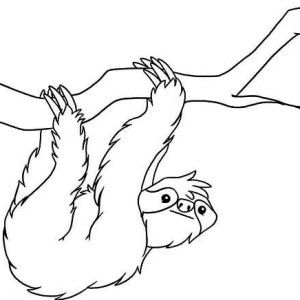 Cute Sloth Coloring Pages at GetColorings.com | Free printable