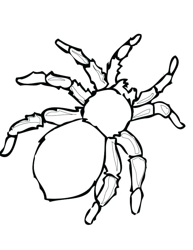 Cute Spider Coloring Pages at GetColorings.com | Free printable