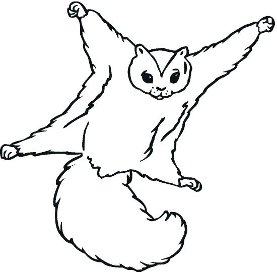 Cute Squirrel Coloring Pages at GetColorings.com | Free printable