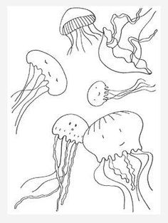 Cuttlefish Coloring Page at GetColorings.com | Free printable colorings