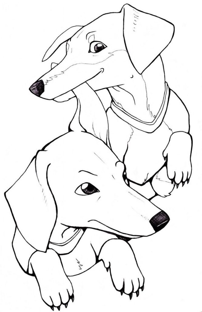 Dachshund Coloring Pages Printable at GetColorings.com | Free printable