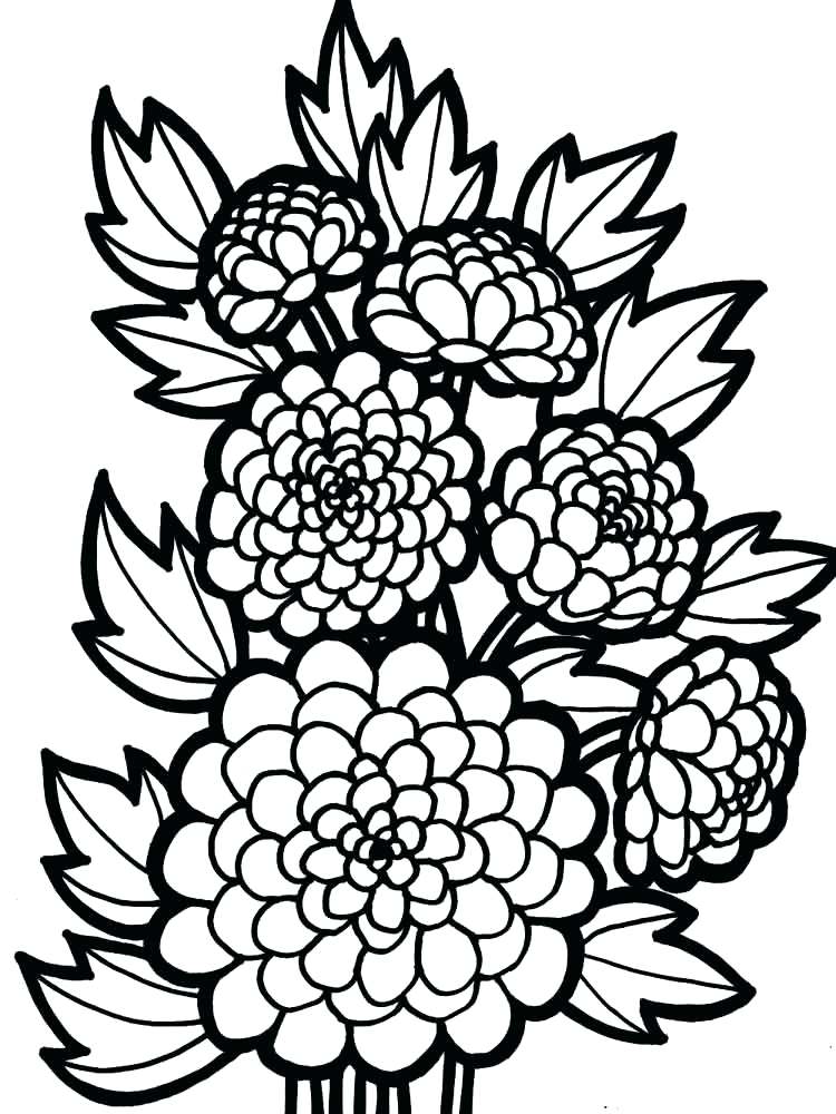 Dahlia Flower Coloring Pages at GetColorings.com   Free printable ...