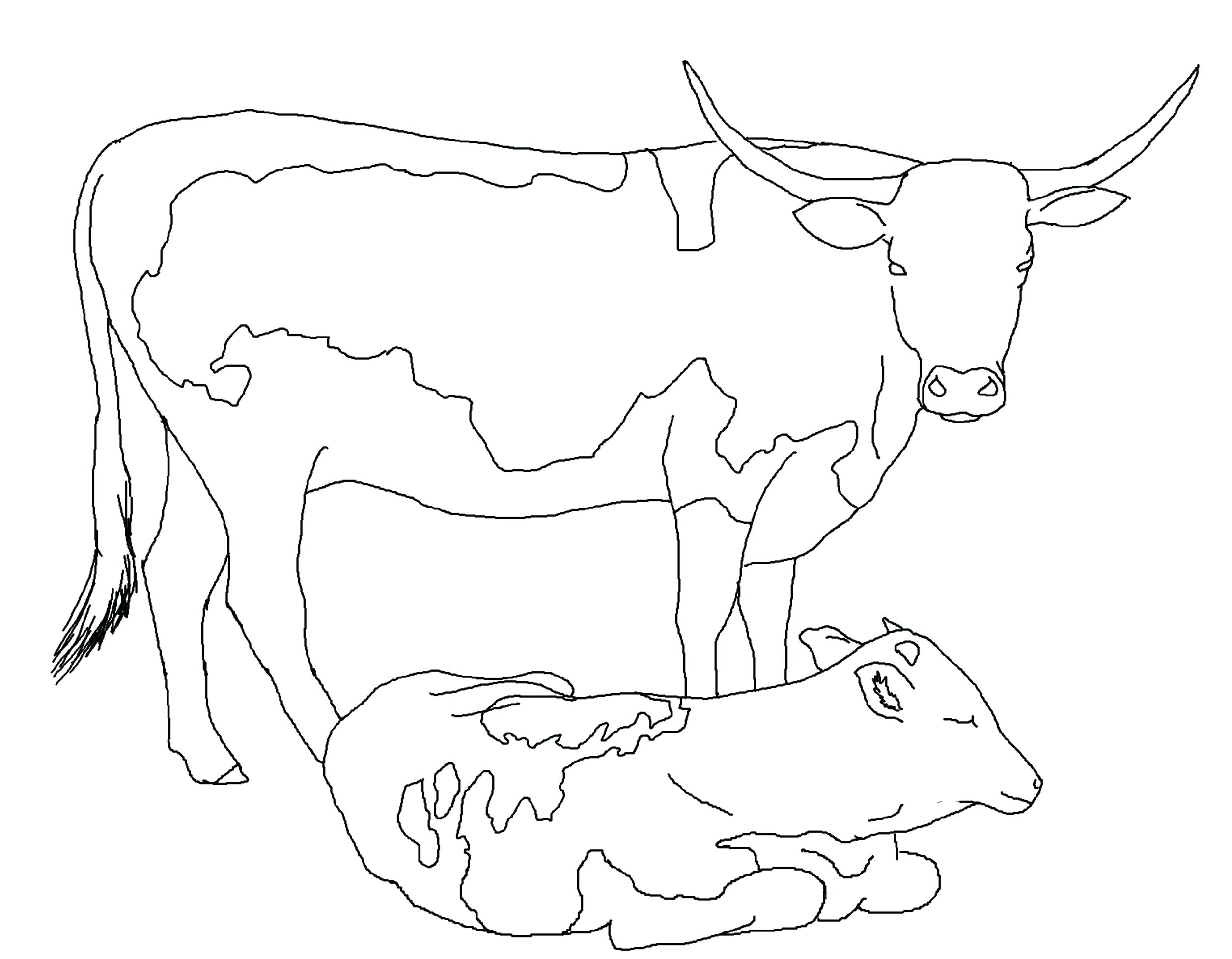 Dairy Cow Coloring Pages at GetColorings.com | Free printable colorings