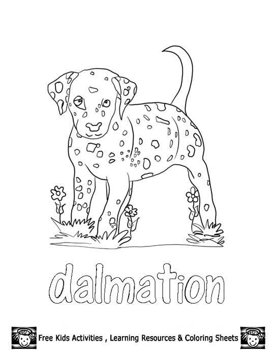 Dalmatian Puppy Coloring Pages at GetColorings.com | Free printable