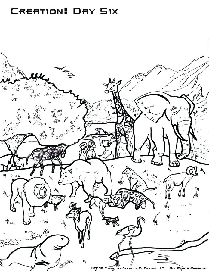 Day 2 Of Creation Coloring Pages At GetColorings