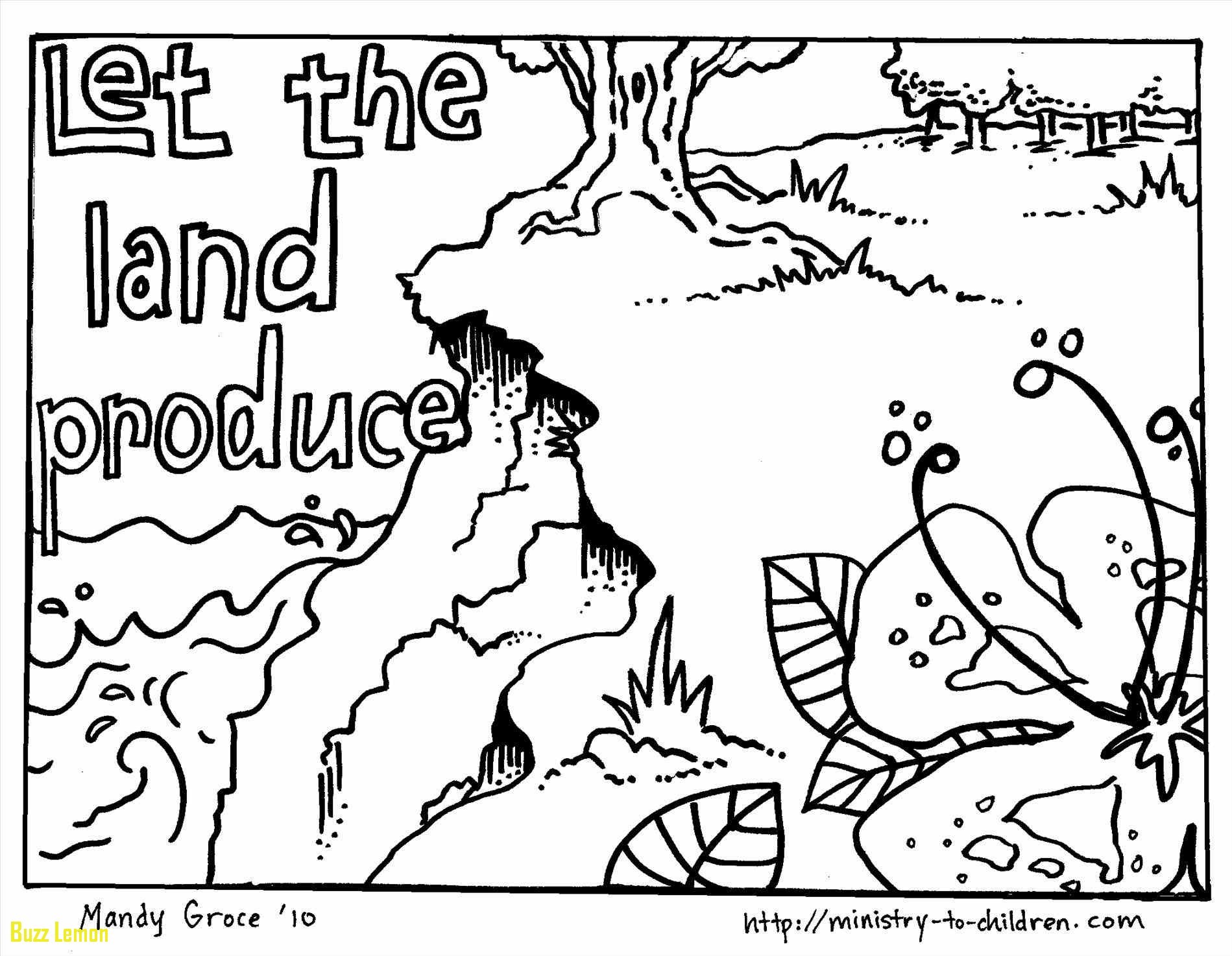 day-3-of-creation-coloring-pages-at-getcolorings-free-printable