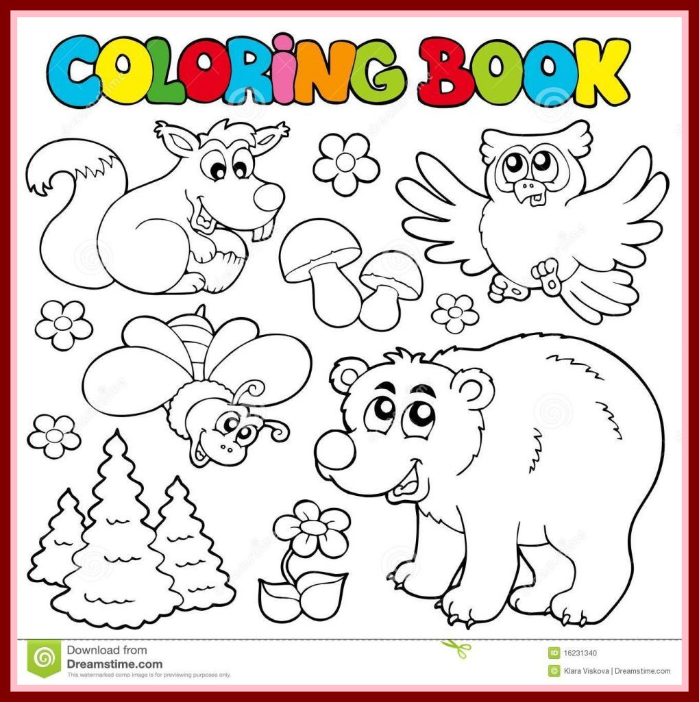Deciduous Forest Coloring Pages at Free printable