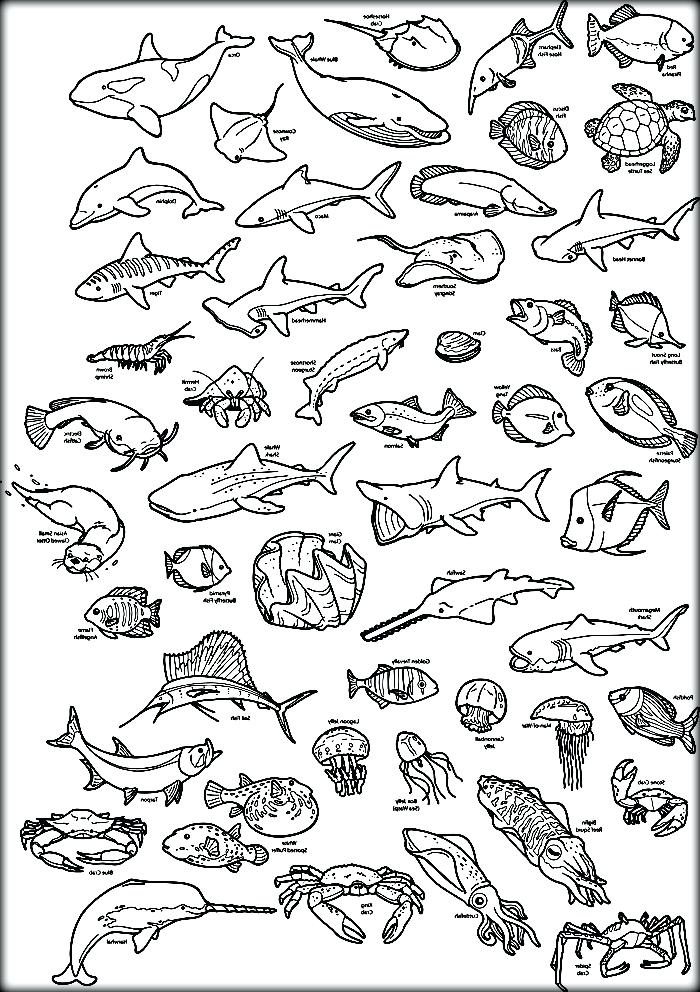 Deep Sea Coloring Pages at GetColorings.com | Free ...