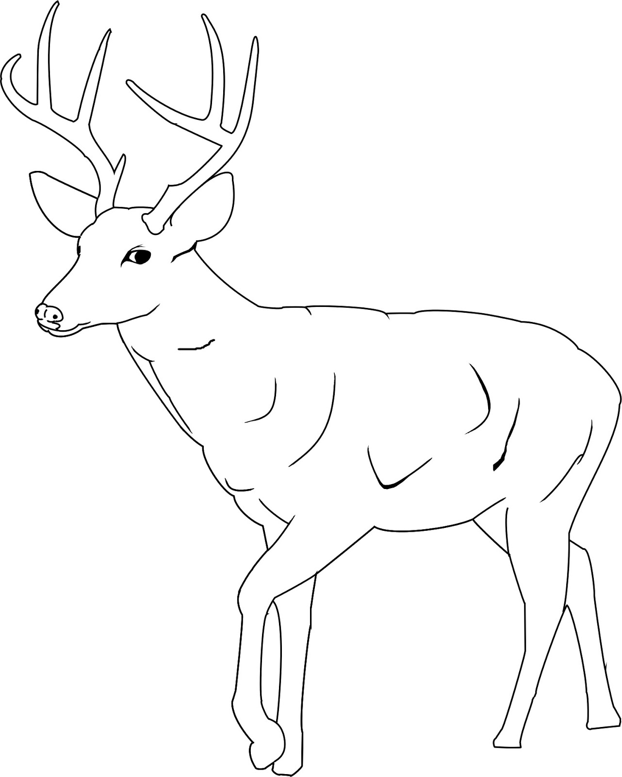 Deer Antler Coloring Pages at Free printable