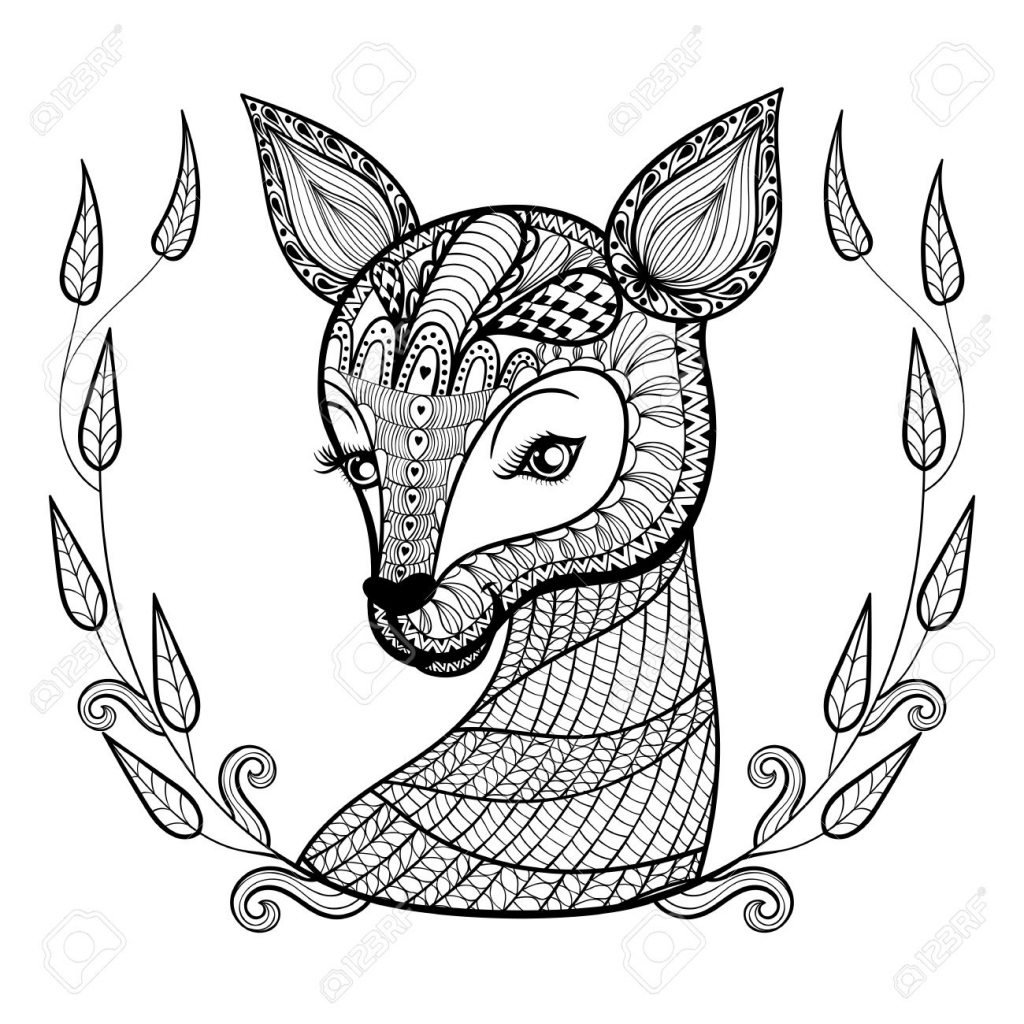 Deer Face Coloring Pages at Free printable colorings