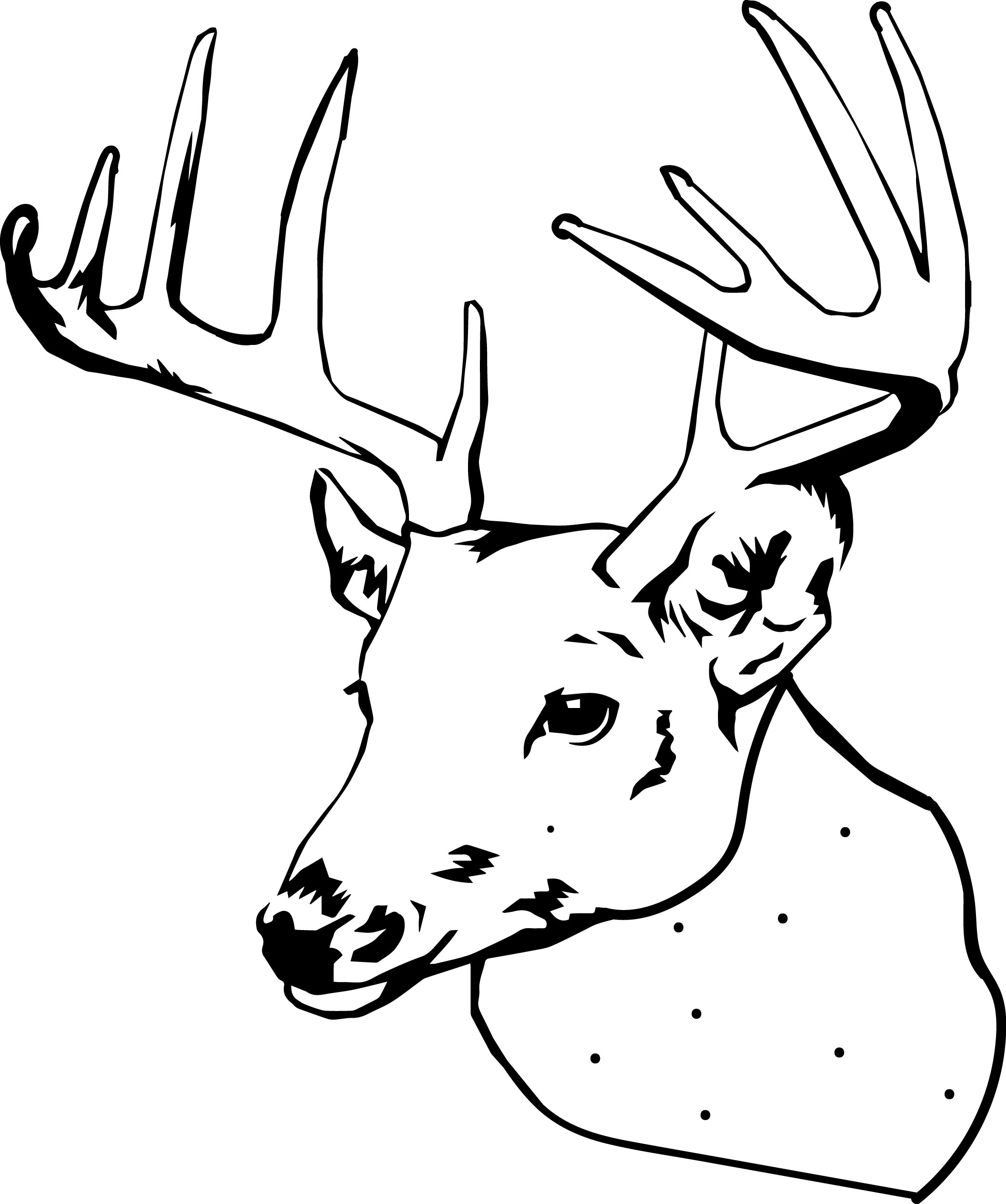 Deer Head Coloring Pages at Free printable colorings