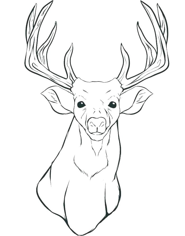 Deer Hunter Coloring Pages at GetColorings.com | Free printable