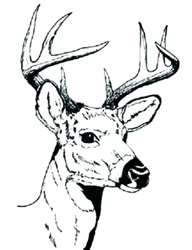 deer-hunting-coloring-pages-at-getcolorings-free-printable