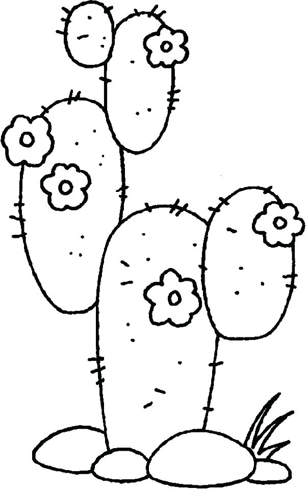 Desert Animals And Plants Coloring Pages at Free