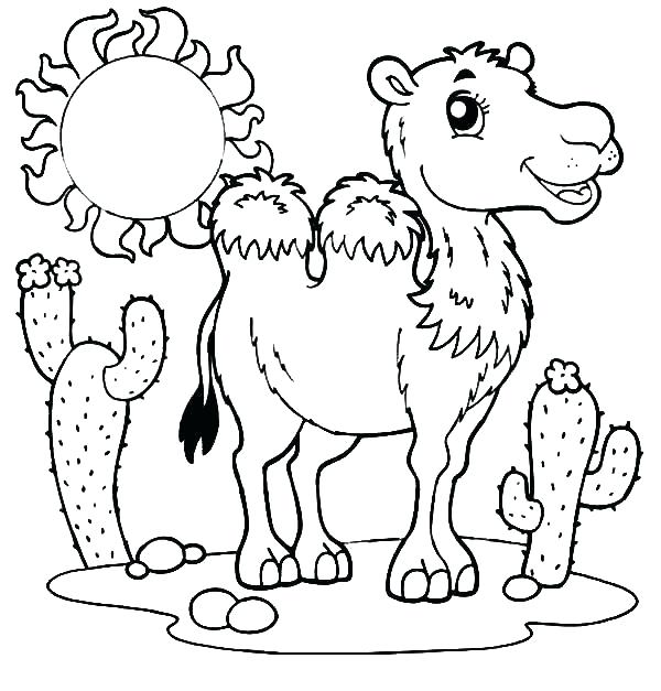 10 Desert Animal Coloring Pages to Unleash Your Inner Artist