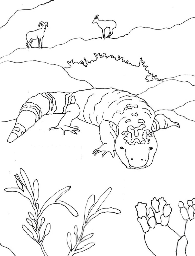 Desert Animals And Plants Coloring Pages at Free