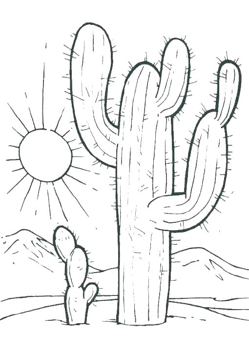 Desert Animals And Plants Coloring Pages At Getcolorings Com Free