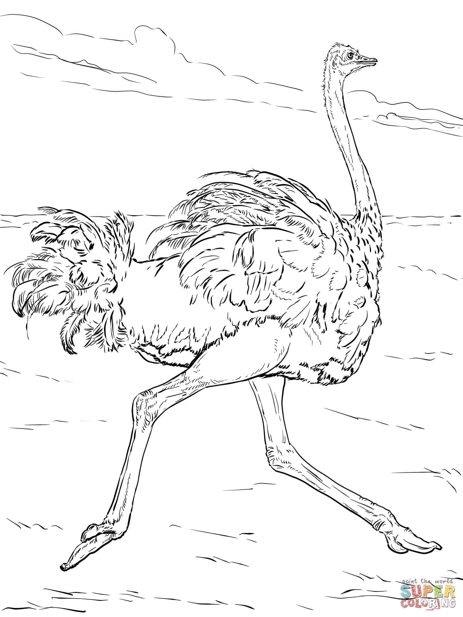 Desert Animals Coloring Pages at Free printable