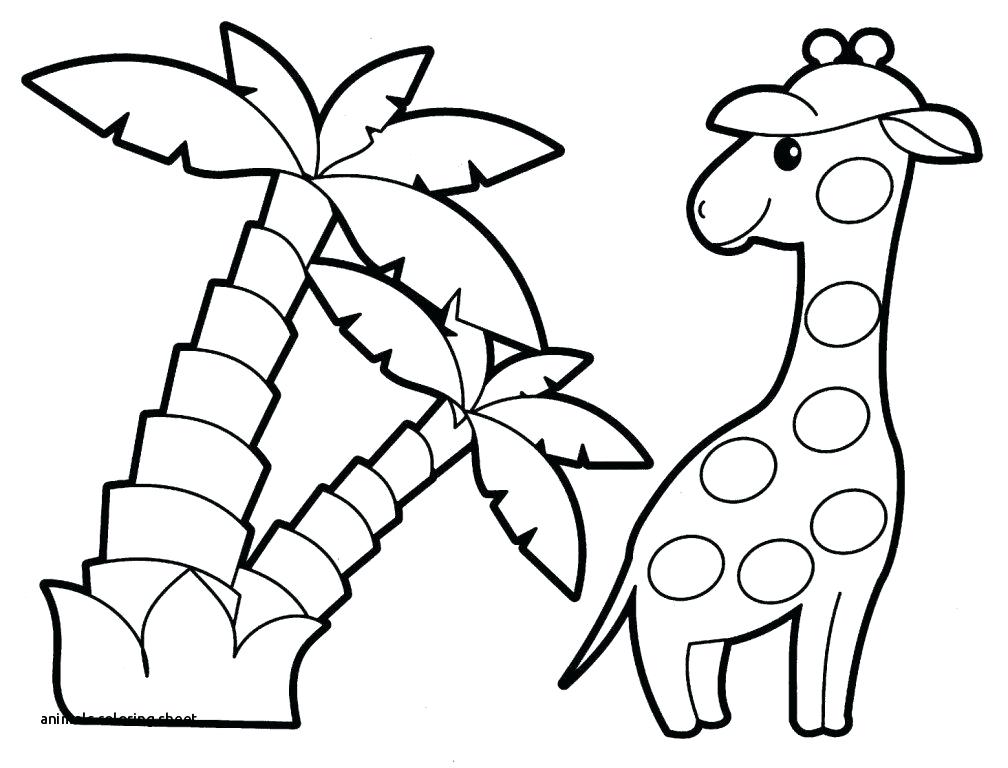 10 Desert Animal Coloring Pages to Unleash Your Inner Artist