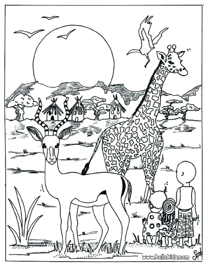 10 Desert Animal Coloring Pages to Unleash Your Inner Artist