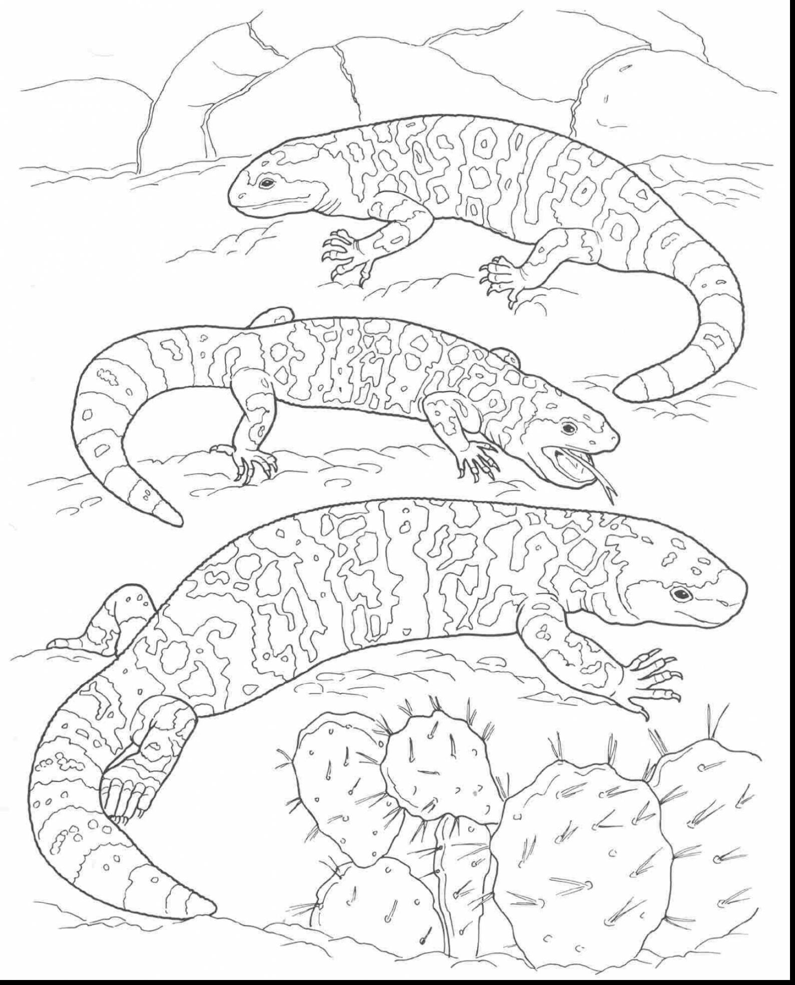 Desert Coloring Pages For Kids at GetColorings.com   Free printable ...