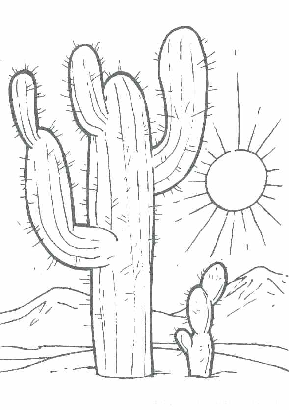 desert-habitat-coloring-pages-at-getcolorings-free-printable