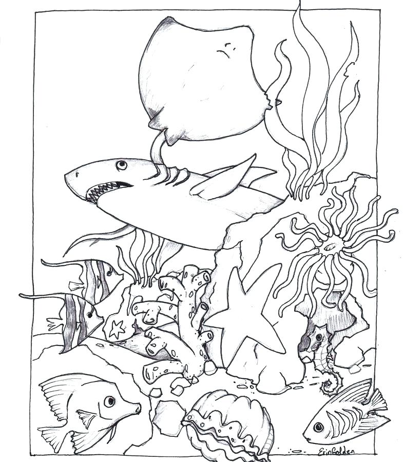 710 Animal Coloring Pages Animal Habitats 