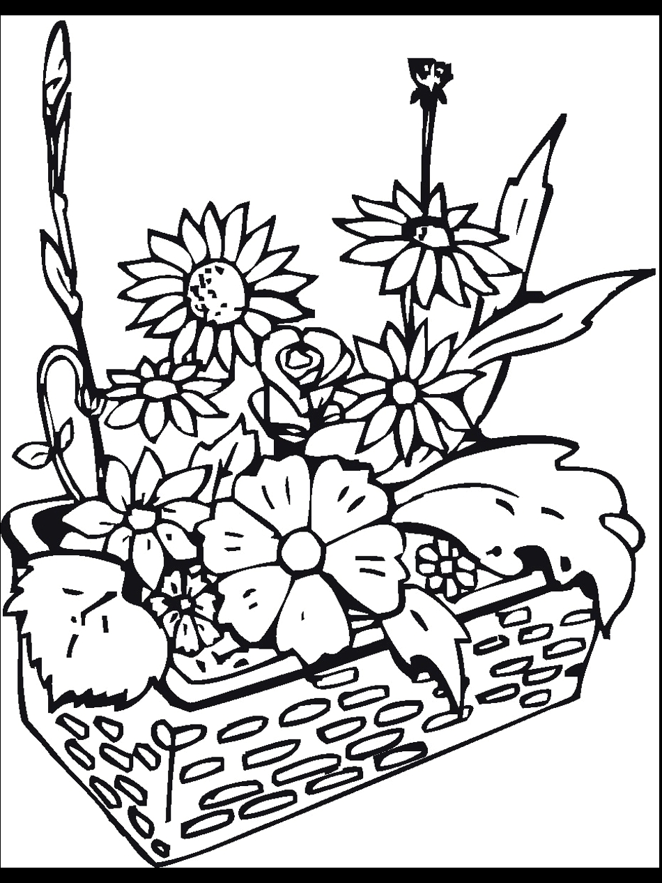 Desert Plants Coloring Pages at GetColorings.com | Free printable