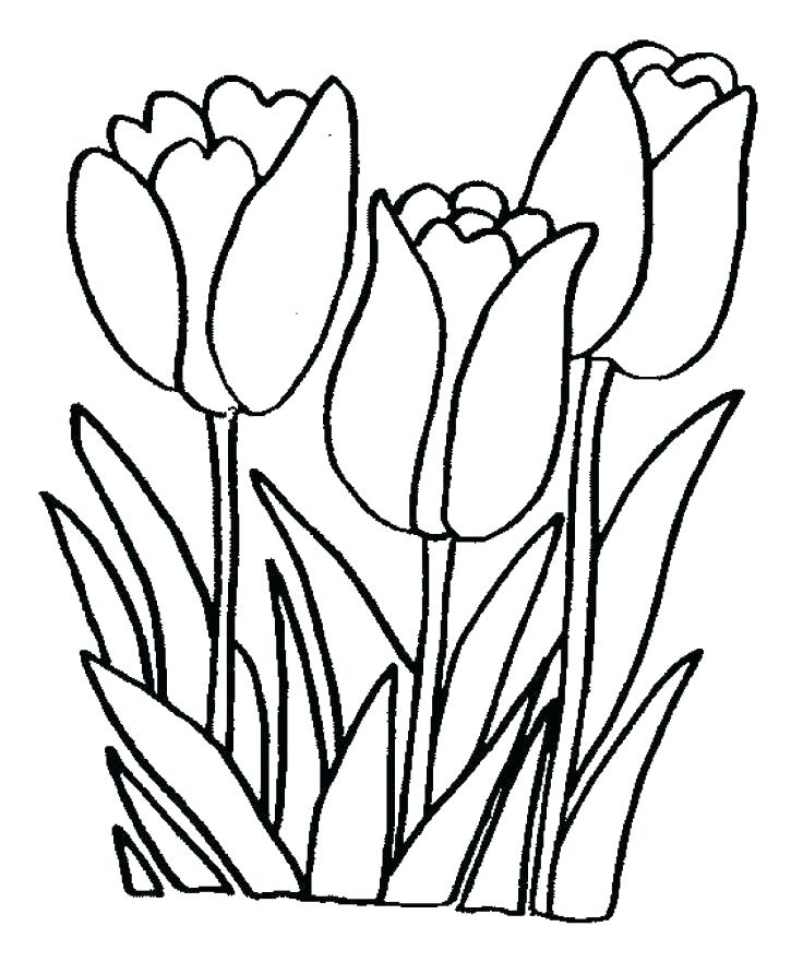 Desert Plants Coloring Pages At Free Printable Colorings Pages To Print And Color