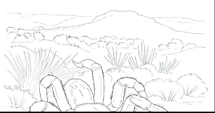 Desert Plants Coloring Pages At Free Printable Colorings Pages To Print And Color