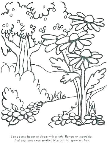 Desert Plants Coloring Pages at GetColorings.com | Free printable