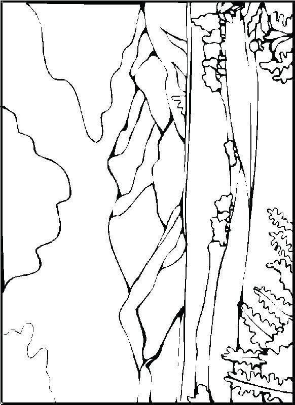 Desert Scene Coloring Page At Getcolorings Com Free Printable Colorings Pages To Print And Color