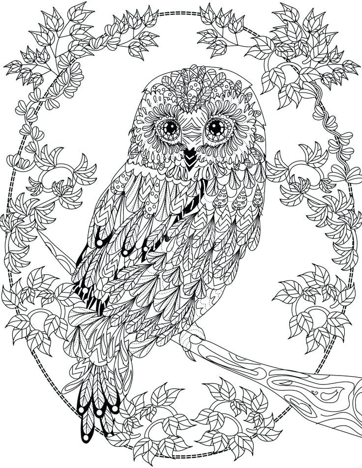 Design Your Own Coloring Pages Online at GetColorings.com | Free