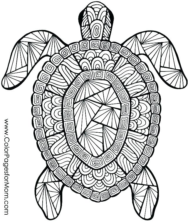 Detailed Animal Coloring Pages At GetColorings Free Printable Colorings Pages To Print And