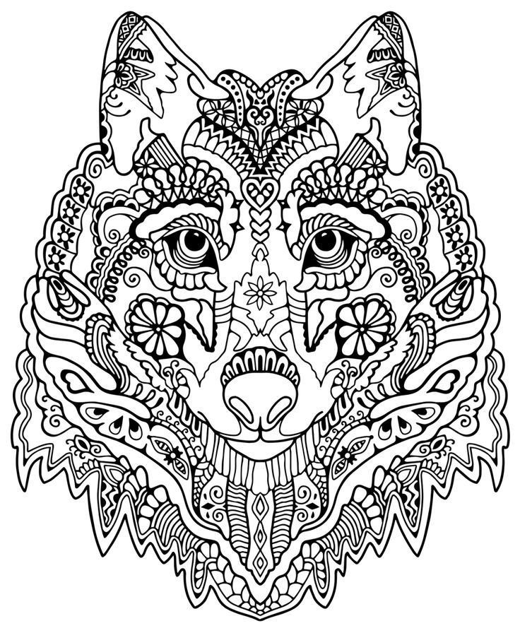 Detailed Animal Coloring Pages at GetColorings.com | Free ...