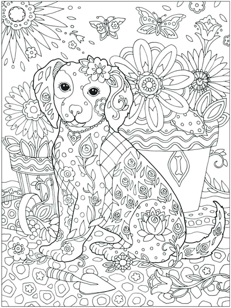 adult coloring image animal clothes reading