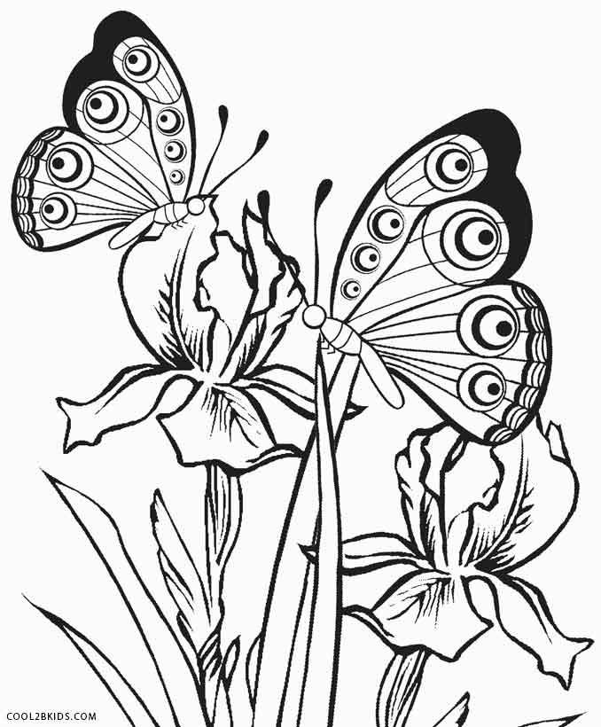 Detailed Butterfly Coloring Pages at GetColorings.com ...