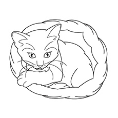 Detailed Cat Coloring Pages at GetColorings.com | Free printable