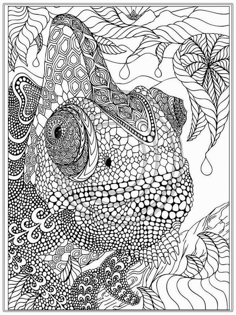 Detailed Animal Coloring Pages For Adults at GetColorings.com | Free