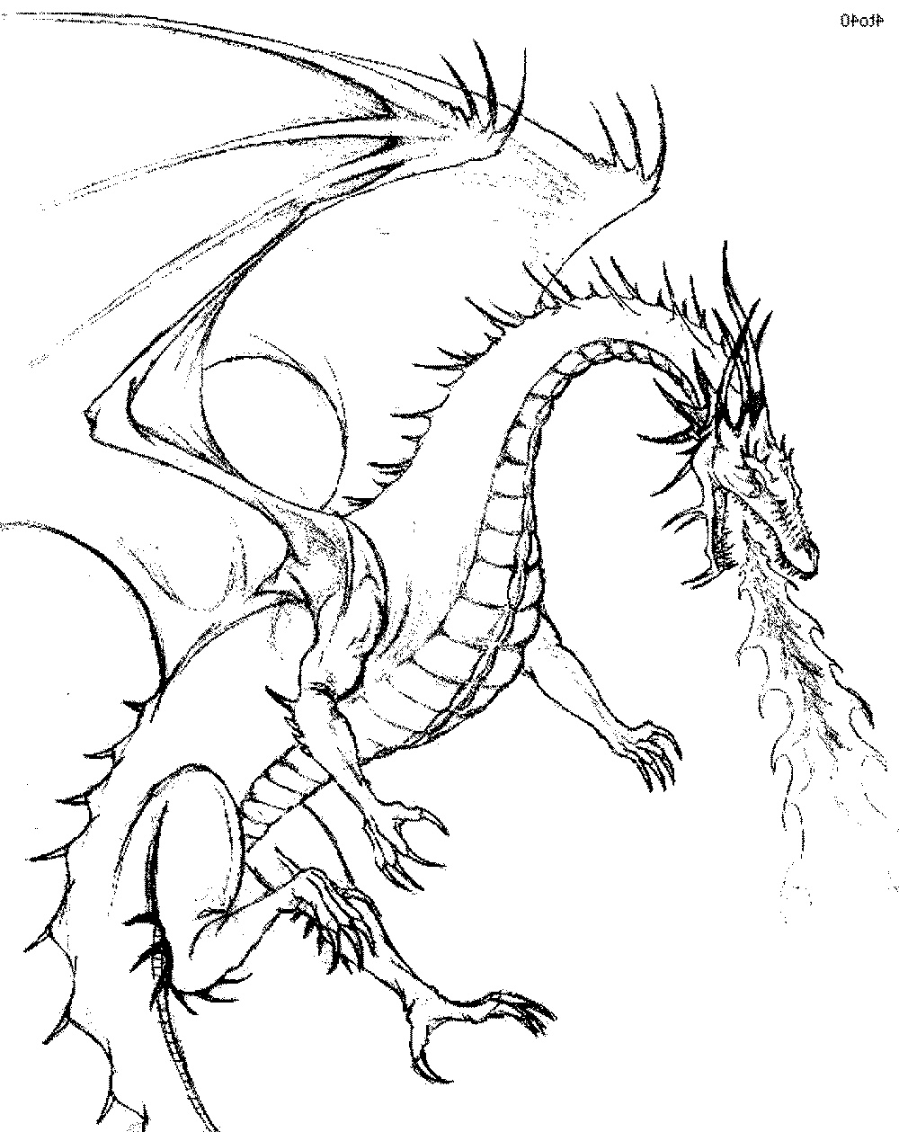 Detailed Coloring Pages Of Dragons at GetColorings.com | Free printable