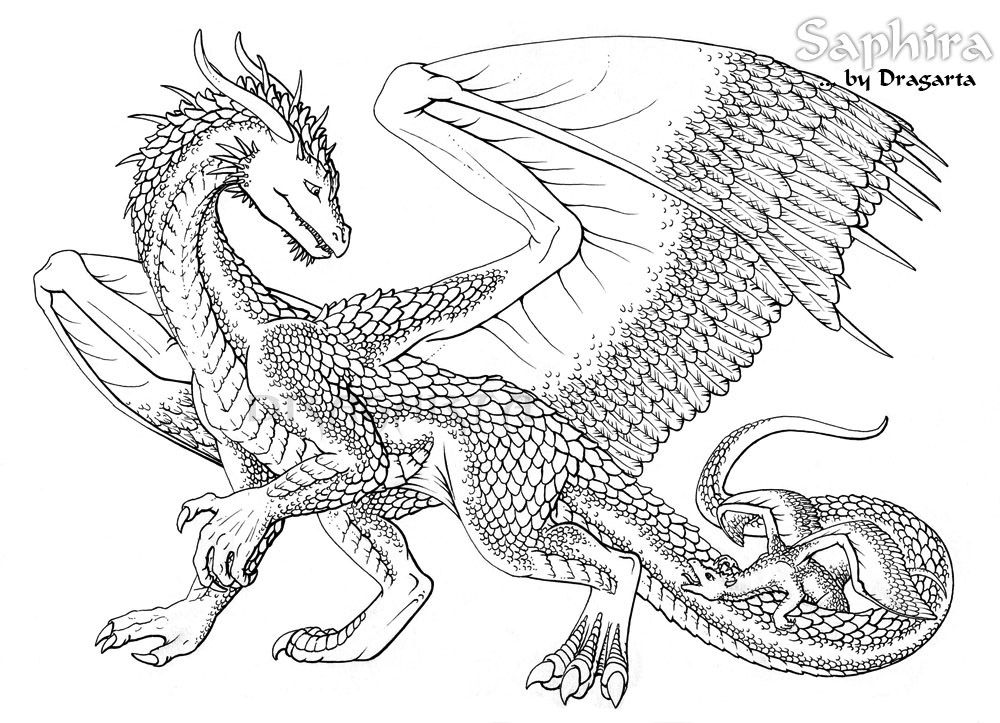 Detailed Dragon Coloring Pages at GetColorings.com | Free printable