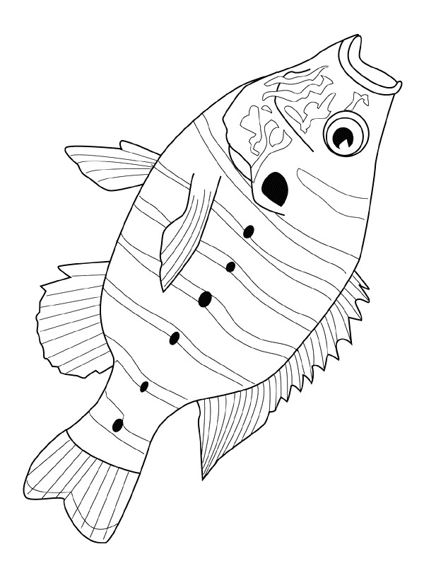 Detailed Fish Coloring Pages At Free Printable