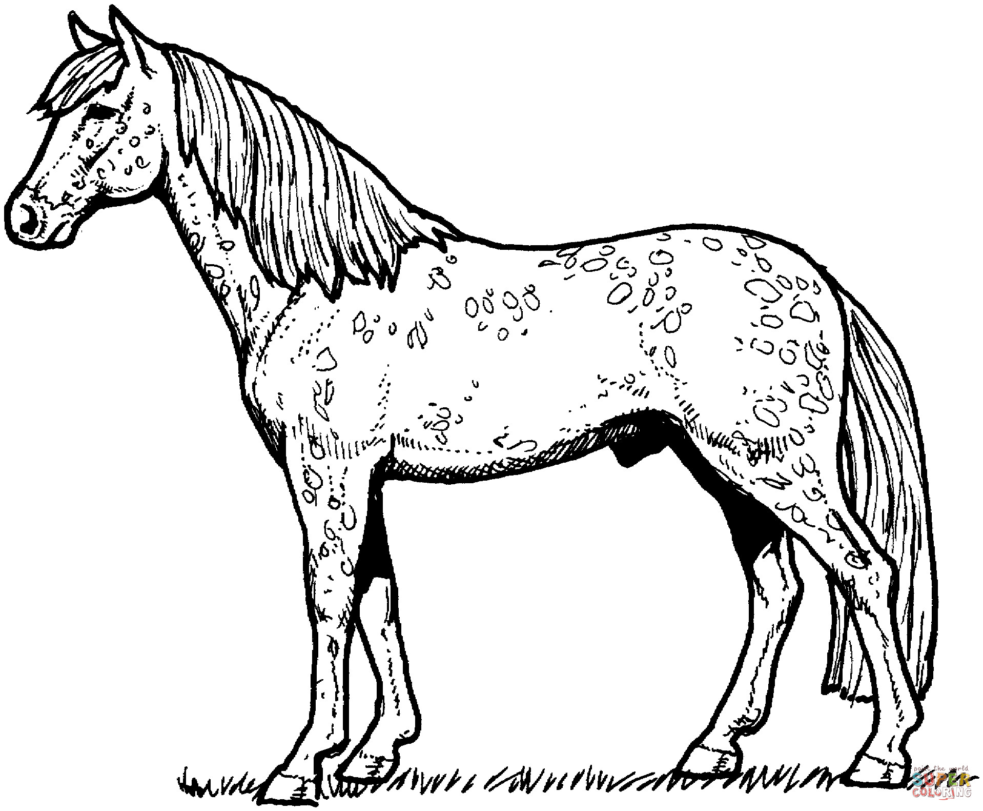 Detailed Horse Coloring Pages At GetColorings Free Printable Colorings Pages To Print And