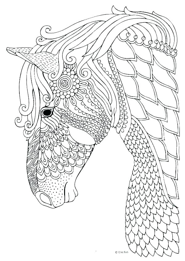 Detailed Horse Coloring Pages at GetColorings.com | Free printable