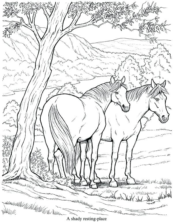 Detailed Horse Coloring Pages at GetColorings.com | Free printable
